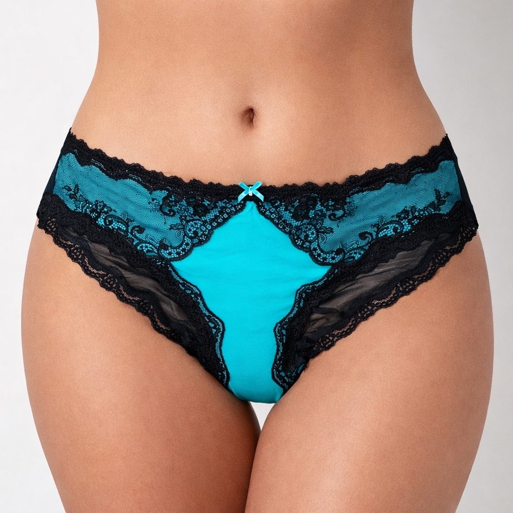 Torrid Teal & Black Sheer Mesh w/ Lace Trim Hipster Panties New with Tags